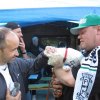 Merzbachfohlen bei Hupe Mai 2011 160 (Klein)